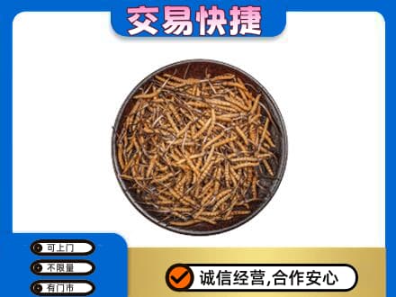 鹤岗回收散虫草